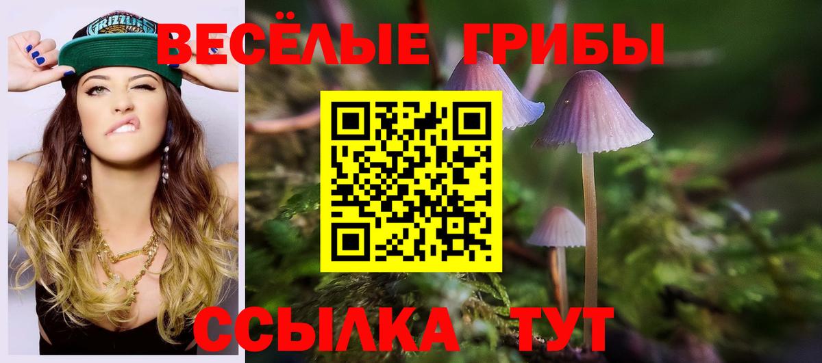 Псилоцибиновые грибы мухоморы Москва